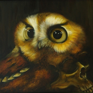 owl